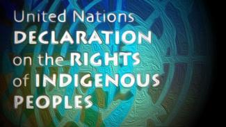 UN Declaration On The Rights Of Indigenous Peoples | Cultural Survival